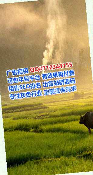 大安代母充电有限公司